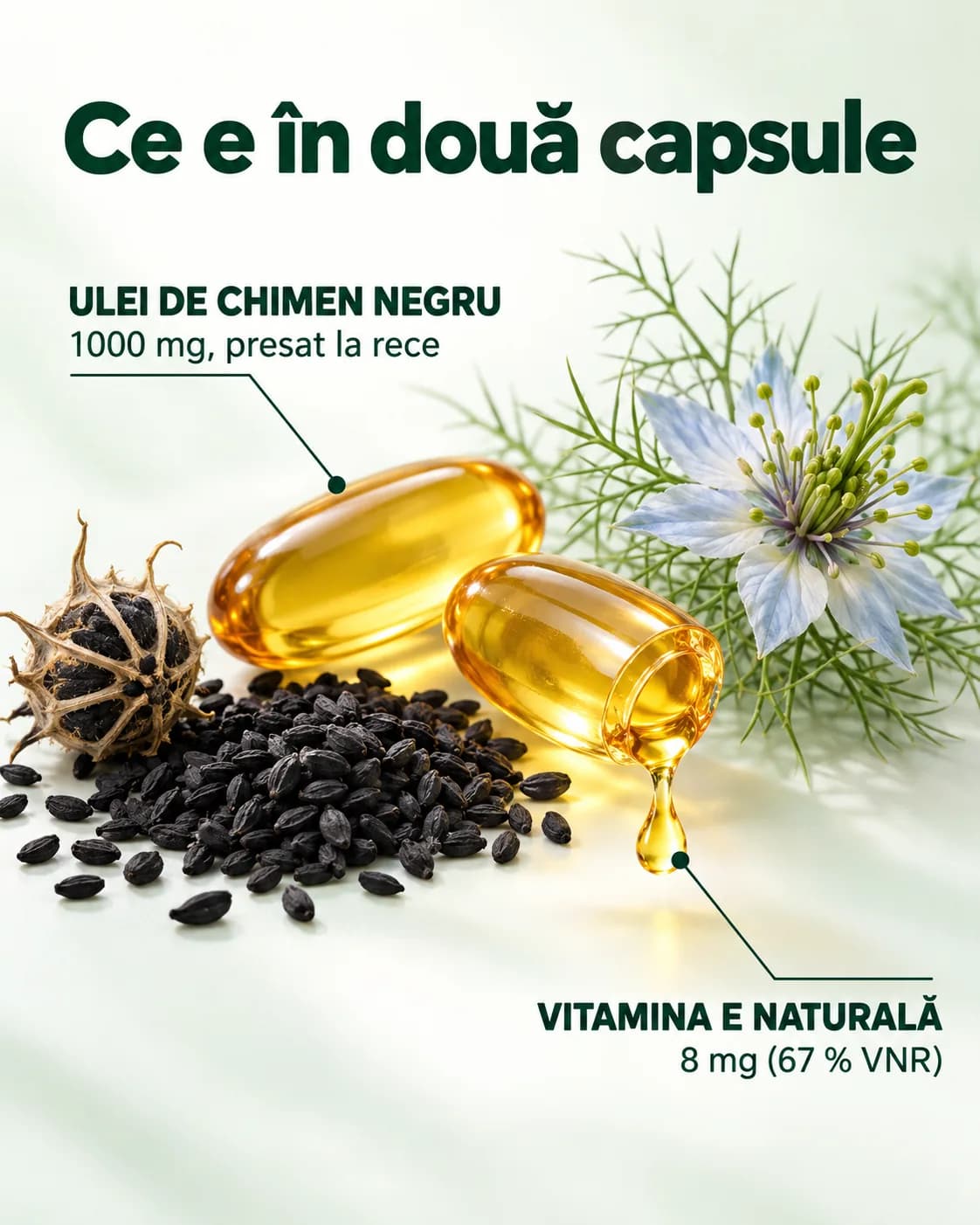 Ce e în două capsule de Black Seed Elixir: ulei de chimen negru 1000 mg, presat la rece, și vitamina E naturală 8 mg (67 % VNR). O capsulă e deschisă și picură ulei. Alături sunt semințe de chimen negru, un fruct uscat al plantei și o floare