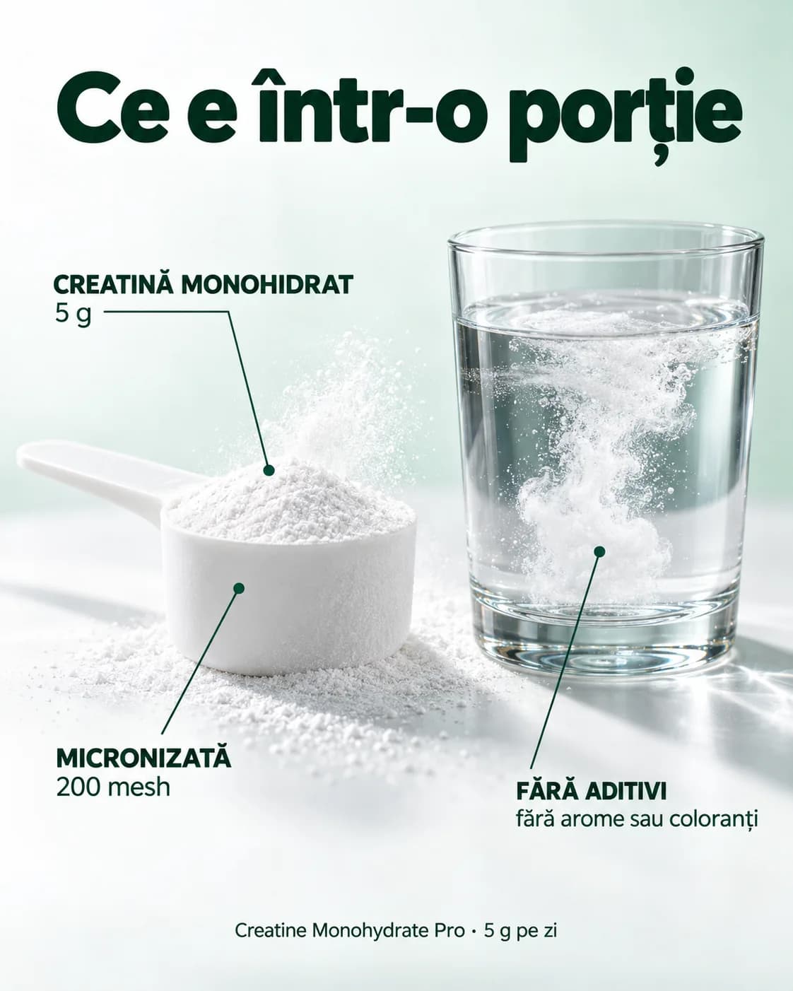 Ce e într-o porție de creatină: o cupă de dozare plină cu pulbere albă, lângă un pahar cu apă în care se dizolvă pulberea. Pe imagine scrie: creatină monohidrat 5 g, micronizată 200 mesh, fără aditivi, fără arome sau coloranți