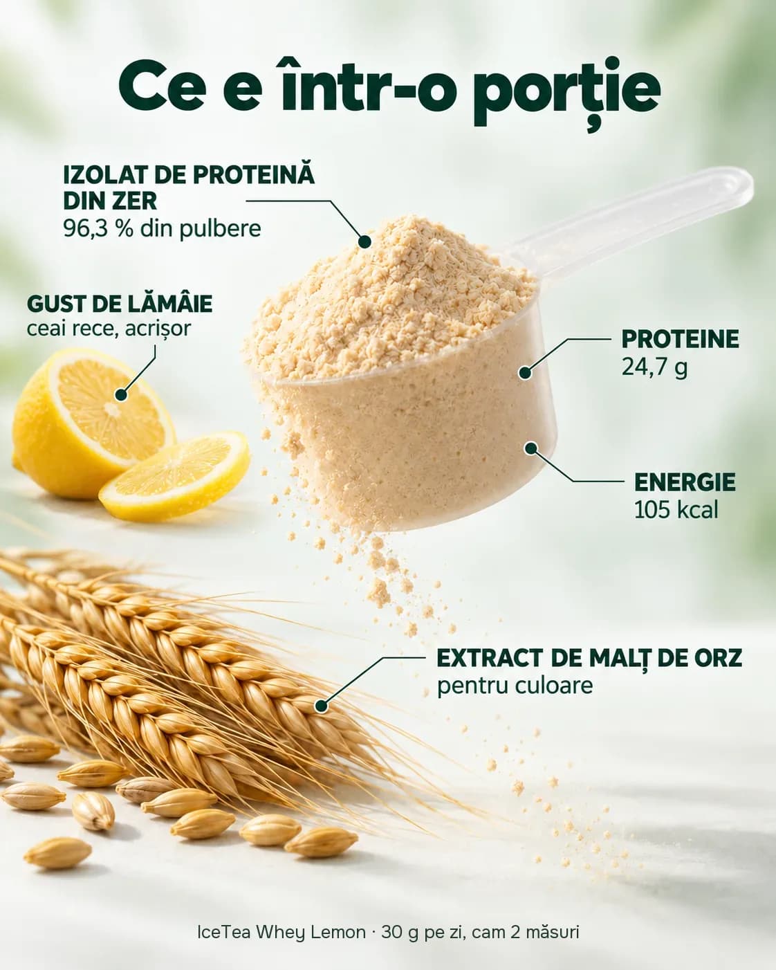 Ce e într-o porție de IceTea Whey Lemon: o măsură cu pulbere, o lămâie tăiată și spice de orz. În imagine scrie: izolat de proteină din zer 96,3 % din pulbere, gust de lămâie (ceai rece, acrișor), 24,7 g de proteine, 105 kcal și extract de malț de orz pentru culoare. Jos scrie: IceTea Whey Lemon, 30 g pe zi, cam 2 măsuri
