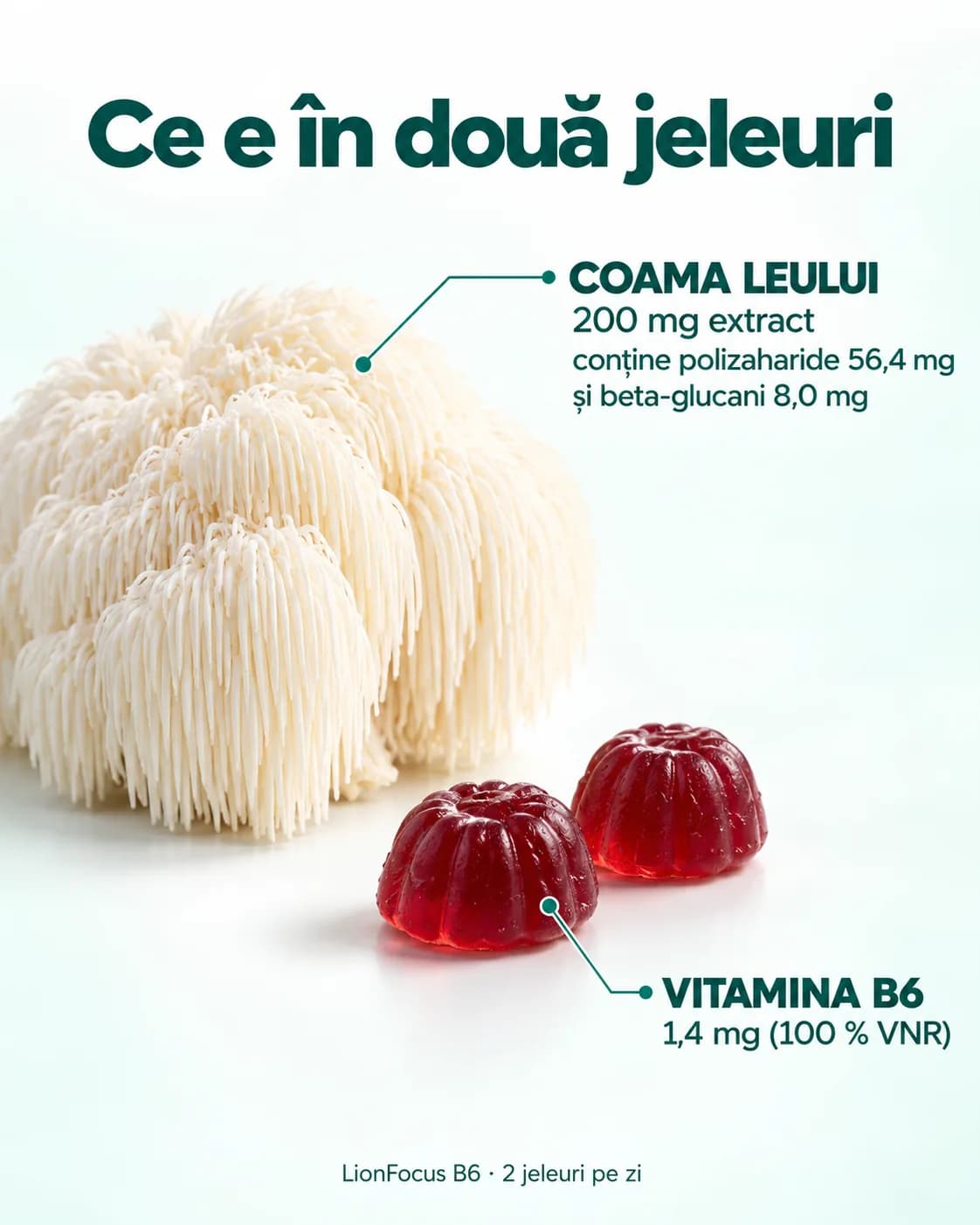Ce e în două jeleuri LionFocus B6: extract de coama leului 200 mg, cu polizaharide 56,4 mg și beta-glucani 8,0 mg; vitamina B6 1,4 mg (100 % VNR). Lângă jeleuri stă o ciupercă coama leului