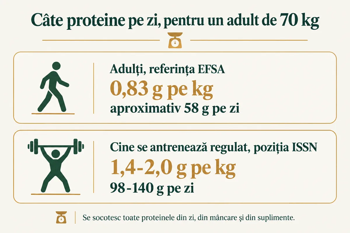 Infografic cu necesarul de proteine pentru un adult de 70 kg: 0,83 g pe kg după EFSA, adică aproximativ 58 g pe zi, și 1,4-2,0 g pe kg după ISSN pentru cine se antrenează regulat, adică 98-140 g pe zi