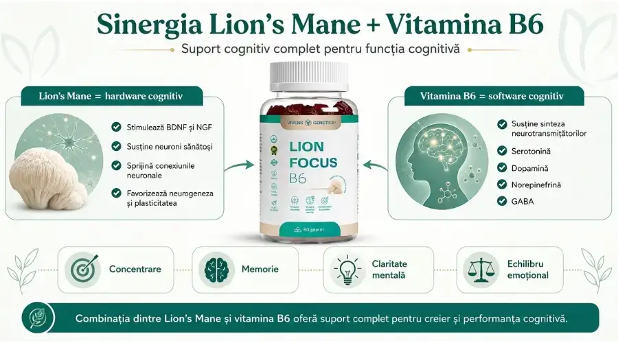 Lion's Mane stimulează BDNF și NGF, vitamina B6 susține sinteza neurotransmițătorilor, combinația oferă suport cognitiv complet